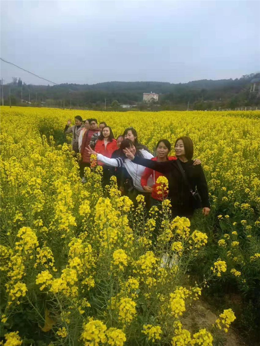 AB娱乐(中国游)有限公司官网