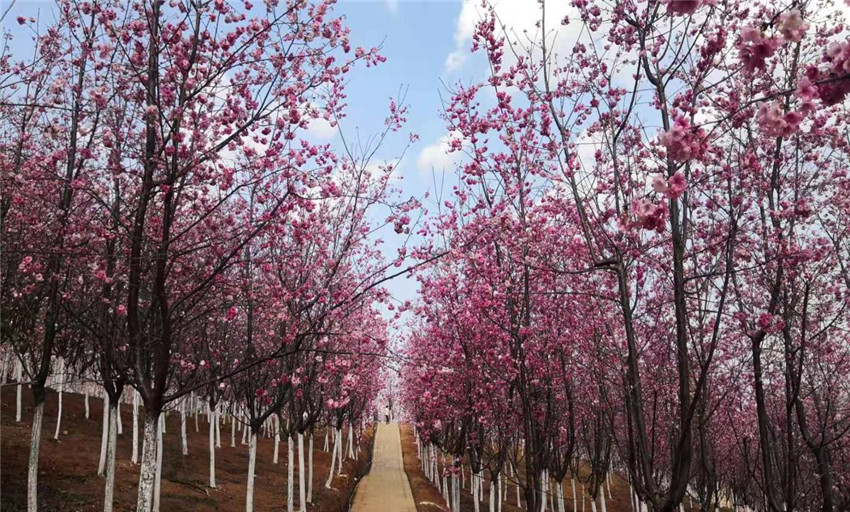 AB娱乐(中国游)有限公司官网